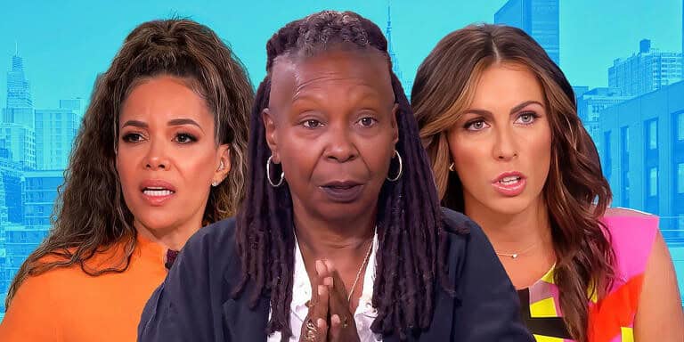The View Lawsuit Update